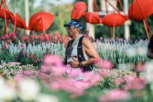 BIB: 
                            <button type="button" onclick="openModal(25935442)" class="btn btn-primary btn-sm float-right btn-popup" data-toggle="modal" data-target=".modal-high-quality">
                        <i class="fas fa-shopping-cart"></i> Add to Cart
                    </button>
                                            <button type="button" onclick="isThisMe(25935442, true)" class="btn btn-success btn-sm float-right btn-popup btn-isme hidden" data-toggle="tooltip" data-placement="bottom" title="นี่คือรูปของคุณใช่ไหม คลิกที่นี่เพื่อเอาเข้าอัลบั้ม">
                        <i class="fas fa-plus"></i> Add to album
                    </button>
                    <button type="button" onclick="isThisMe(25935442, false)" class="btn btn-warning btn-sm float-right btn-popup btn-isnotme hidden">
                        <i class="fas fa-ban"></i> Remove from album
                    </button>